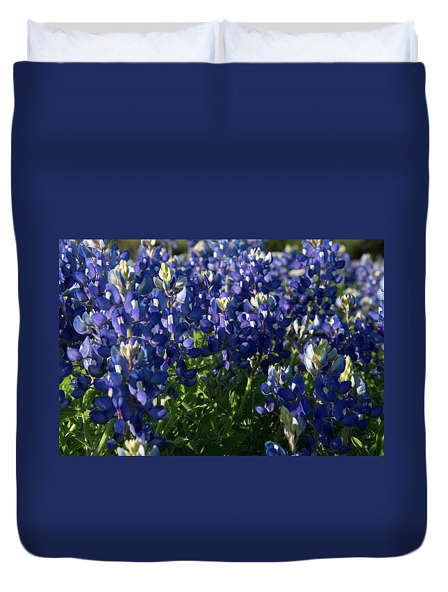 Bluebonnet Duvet Cover featuring the photograph Texas Bluebonnets in the Sun by Frank Madia