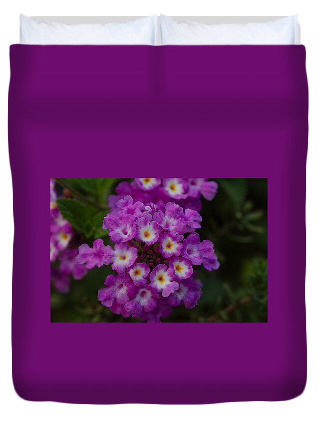 James Smullins Duvet Cover featuring the photograph Texas lantana by James Smullins