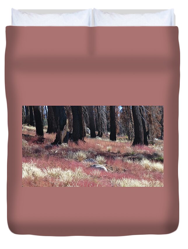 Forest Fire Duvet Cover featuring the photograph Texture of Recovery by Amelia Racca