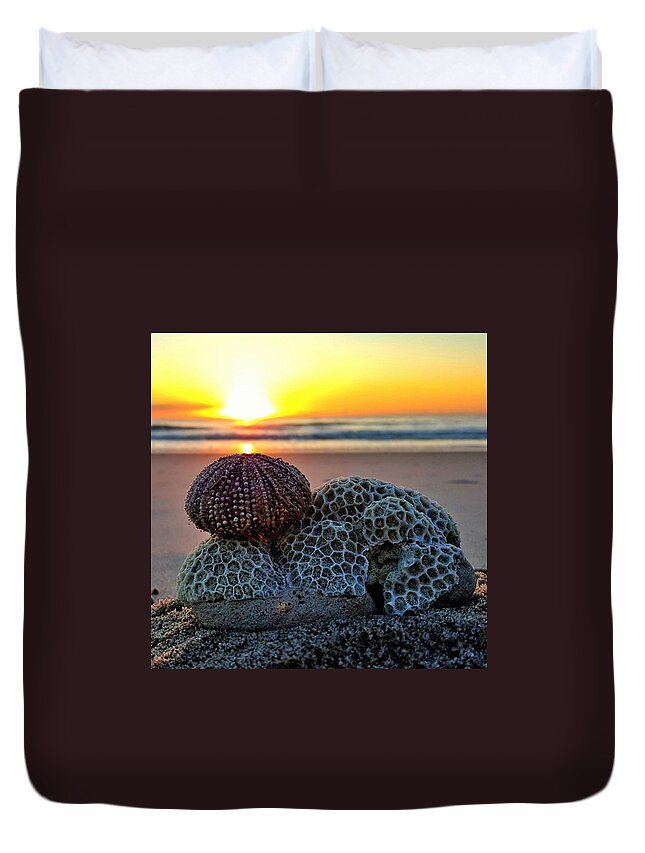 Reflection Duvet Cover featuring the photograph Seashell Surprise by Lauren Fitzpatrick
