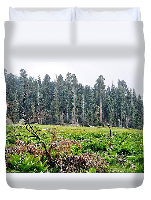 Sequoia National Park Duvet Cover featuring the photograph Tharps Log Meadow by Kyle Hanson