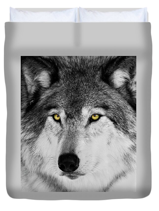 Yellow Eyed Wolf Duvet Cover featuring the photograph The Alpha Portrait by Mircea Costina Photography