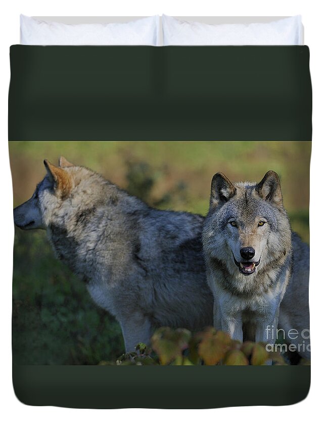 Nina Stavlund Duvet Cover featuring the photograph The Alpha Team... by Nina Stavlund