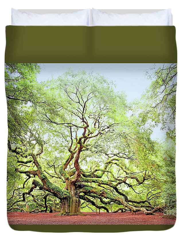 Angel Oak Duvet Cover featuring the photograph The Angel Oak Tree by Sharon McConnell