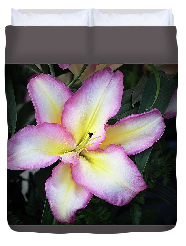 Lilies Duvet Cover featuring the photograph The Art Of Lily by Terence Davis