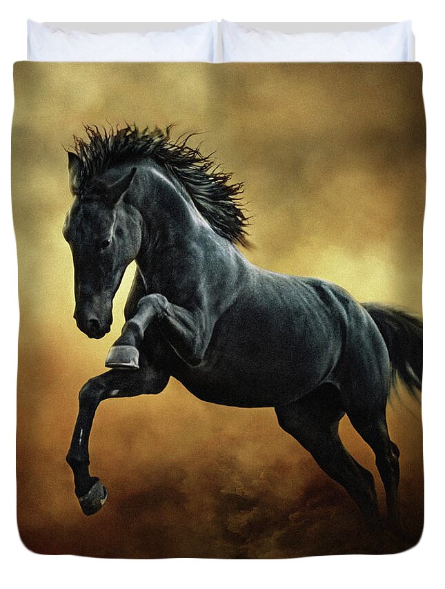 Horse Duvet Cover featuring the photograph The Black Stallion in Dust II by Dimitar Hristov