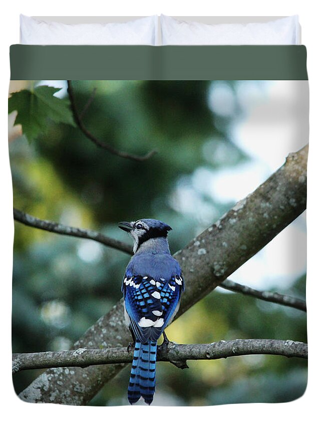 Blue Jay Duvet Cover featuring the photograph The Blues Song by Debbie Oppermann