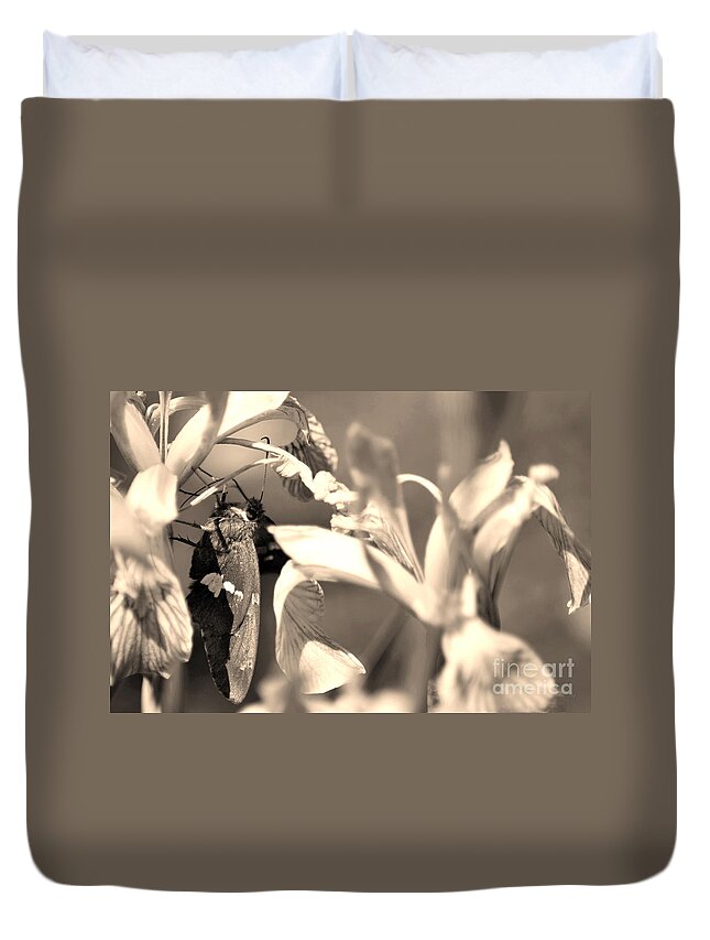 Fine Art Duvet Cover featuring the photograph The Butterfly by Donna Greene