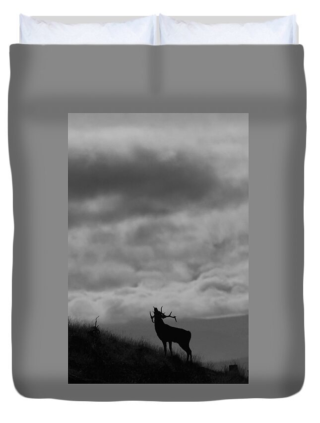 Rutting Stag Duvet Cover featuring the photograph The Call of the North by Gavin MacRae