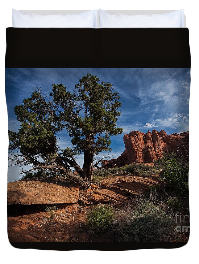 Utah Duvet Cover featuring the photograph The Canyon Trail by Jim Garrison