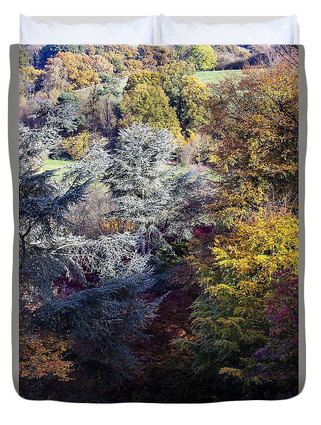 Autumn Duvet Cover featuring the photograph The Colours of Autumn by Andy Myatt