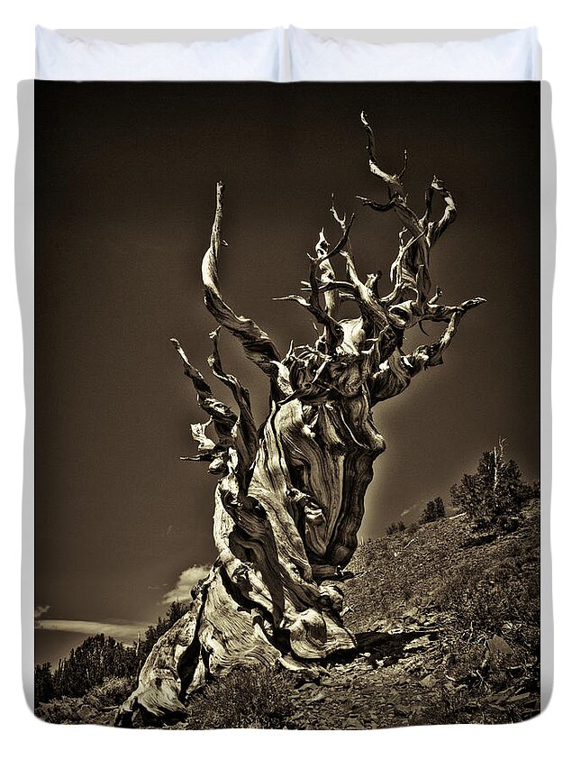California Duvet Cover featuring the photograph The Dead Sentinel by Roger Passman