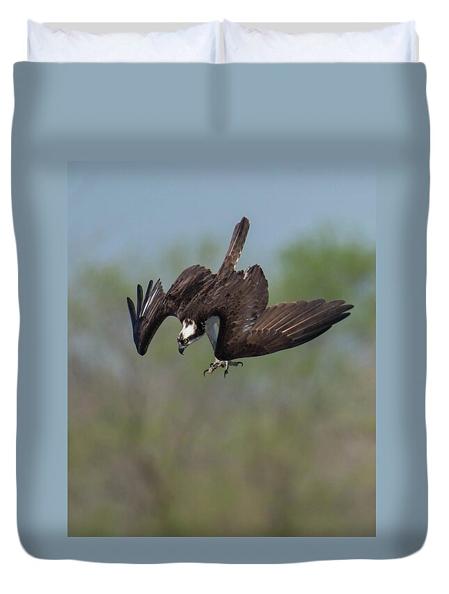 Bird Duvet Cover featuring the photograph The Dive by Jody Partin