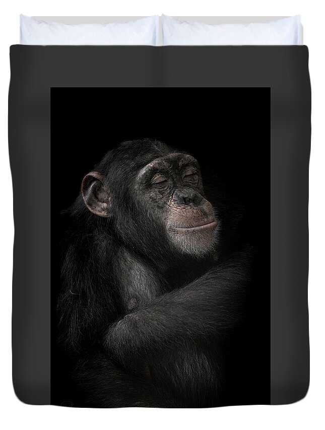 Chimpanzee Duvet Cover featuring the photograph The dream catcher by Paul Neville