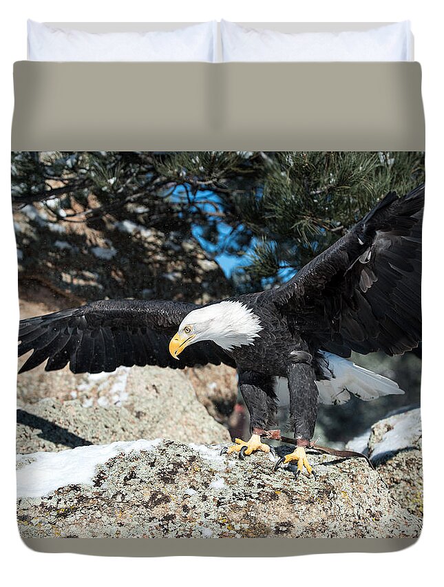 America Duvet Cover featuring the photograph The Eagle Has Landed by Art Atkins