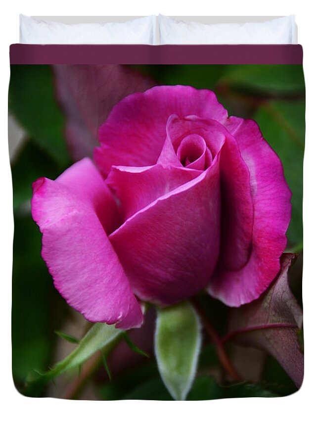 Rose Duvet Cover featuring the photograph Experience of a Rose by Debby Pueschel