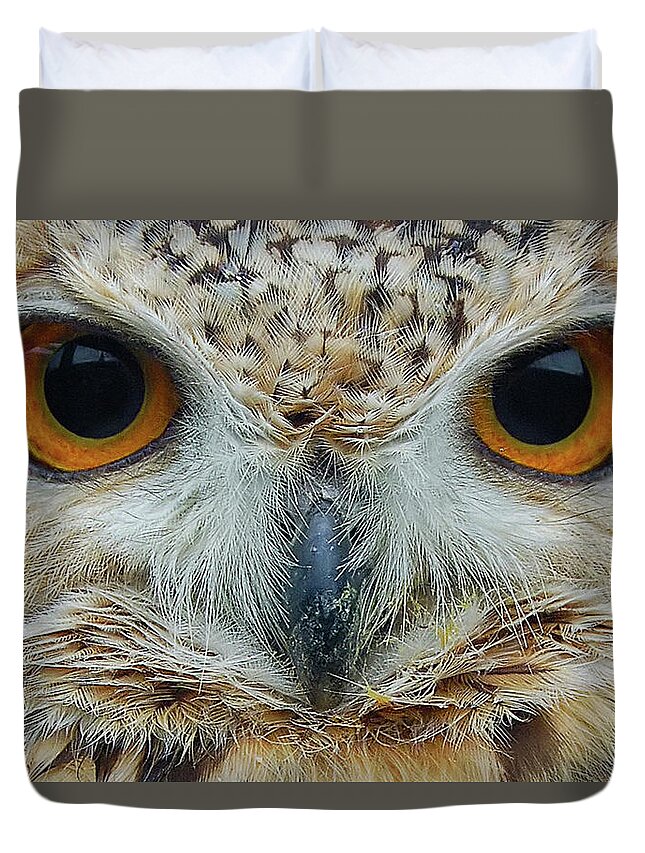 Owl Duvet Cover featuring the photograph The Eyes have it by Kuni Photography