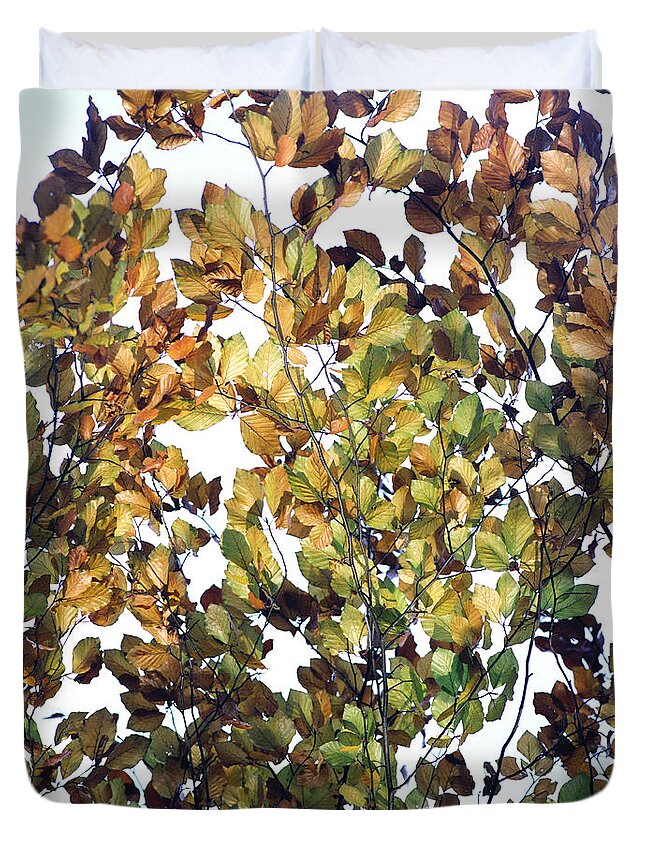 Autumn Duvet Cover featuring the photograph The Fall by Rebecca Harman
