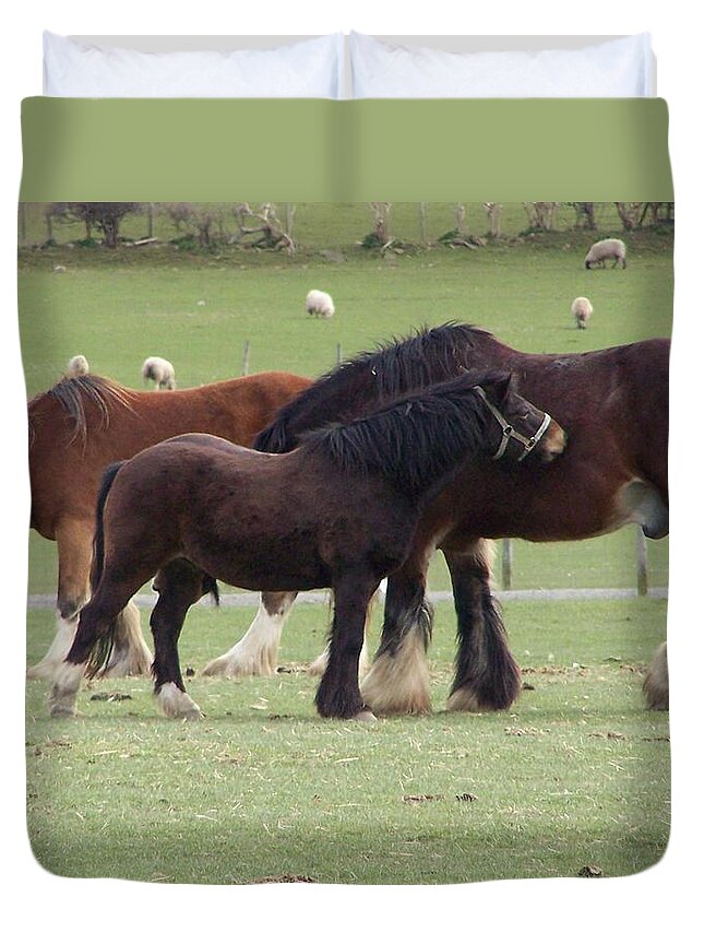 Horses Duvet Cover featuring the photograph The family by Christopher Rowlands