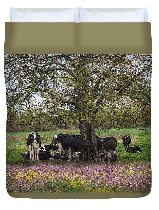 Holstein Duvet Cover featuring the photograph The Favorite Tree by Robin-Lee Vieira