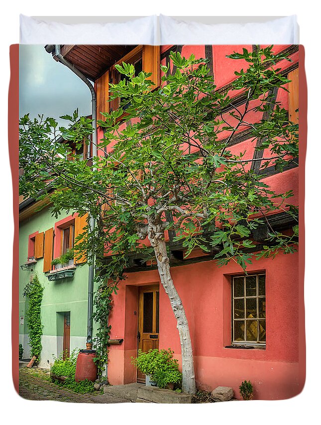  Fig Tree Duvet Cover featuring the photograph The Fig Tree and Eguisheim House Alsace_DSC7451_16 by Greg Kluempers