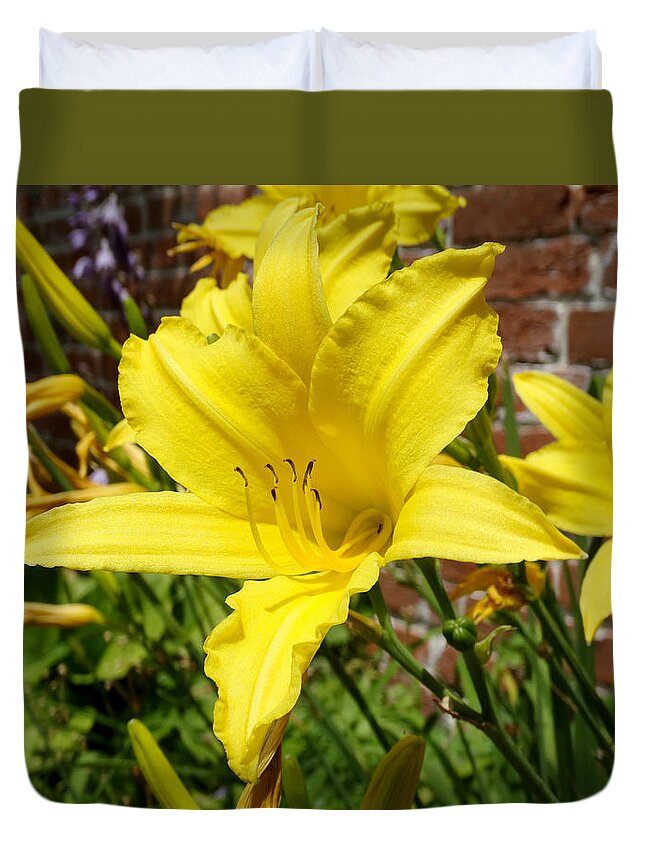 Garden Duvet Cover featuring the photograph The Garden Yellow Lily by Mike McGlothlen