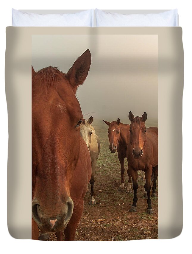 Animal Duvet Cover featuring the photograph The Gauntlet - Horses by Robert Frederick