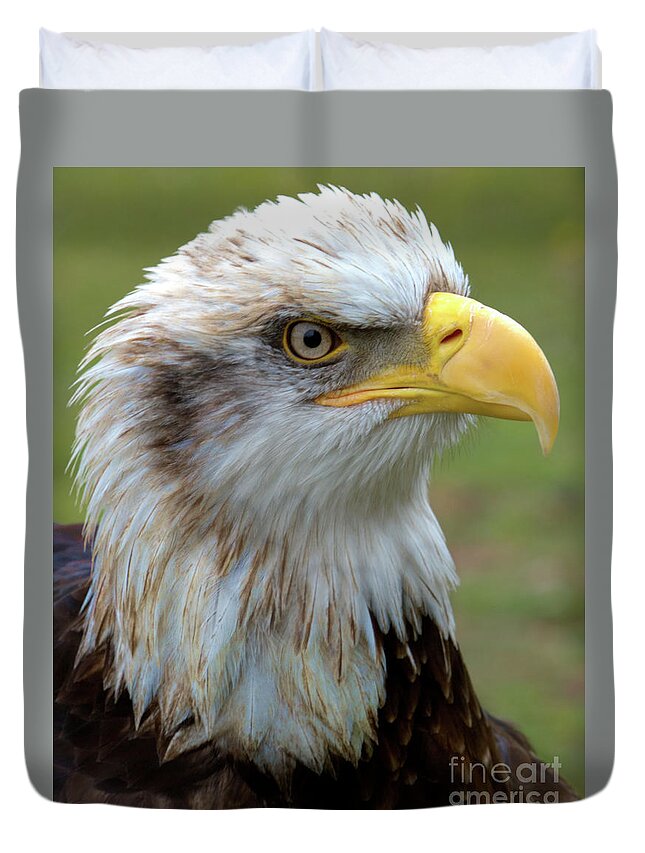 Bird Duvet Cover featuring the photograph The Gaurdian by Stephen Melia