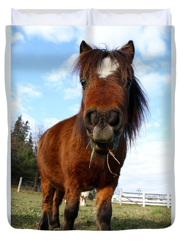 Horse Duvet Cover featuring the photograph The Girl from Ipanema by Heather King