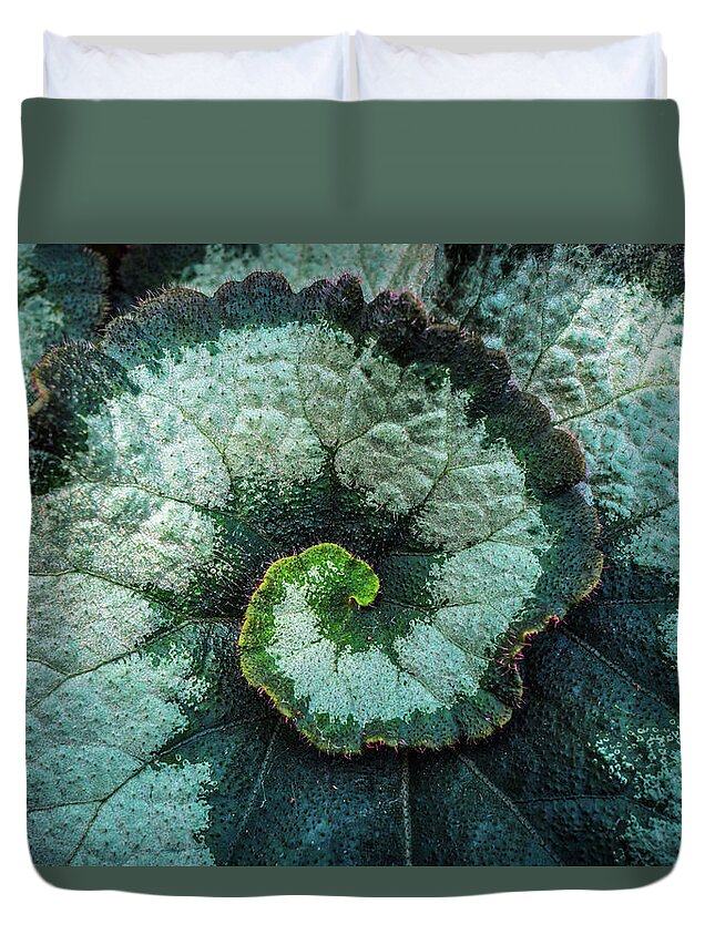 Leaf Duvet Cover featuring the photograph The Golden Ratio of the leaf by Lilia S