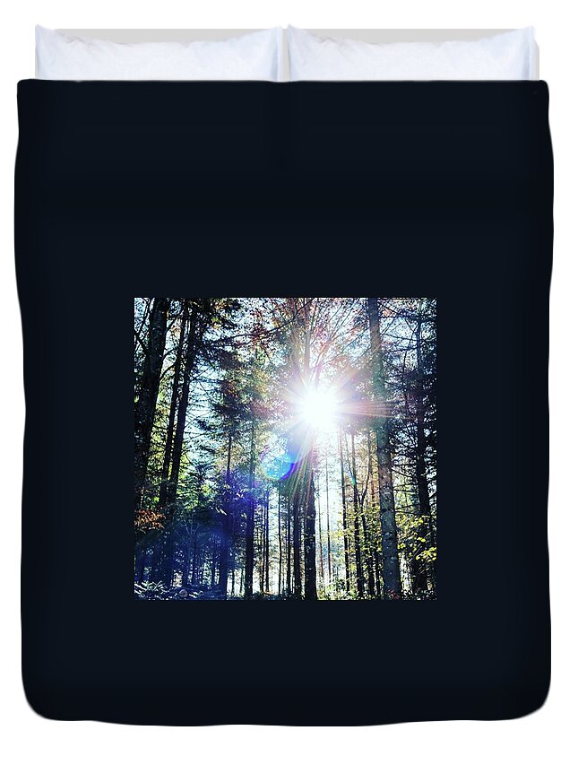 Lookingup Duvet Cover featuring the photograph The Great Outdoors, A Forest In by Aleck Cartwright