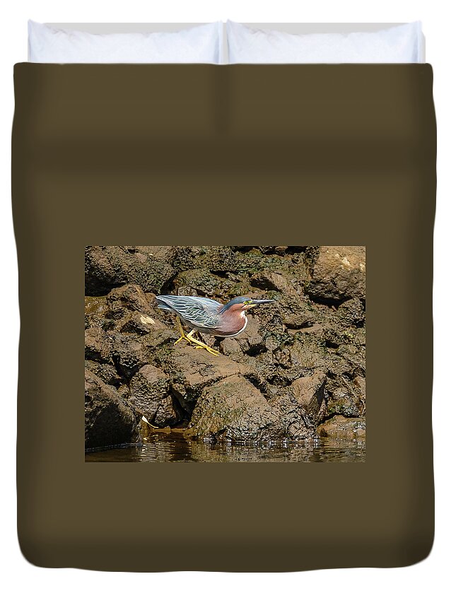 Heron Duvet Cover featuring the photograph The Green Heron by Jerry Cahill