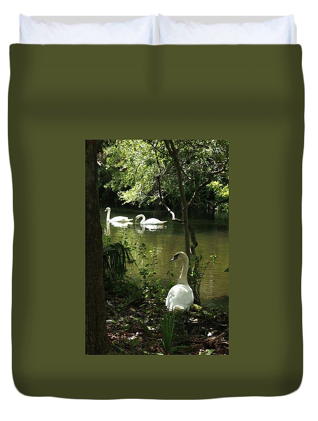Florida Swans Birds Duvet Cover featuring the photograph The Guard Swan by Barbara Smith-Baker