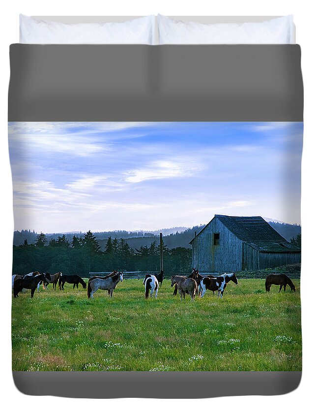 Horses Duvet Cover featuring the photograph The Herd by Steven Clark