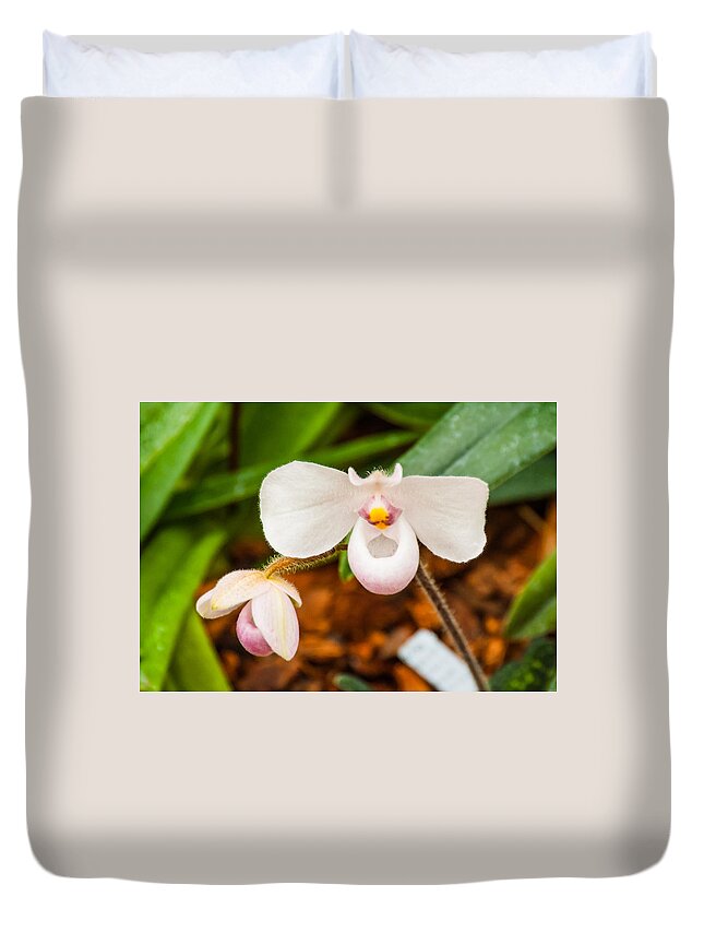 Flower Duvet Cover featuring the photograph Arms wide open by Charles McCleanon