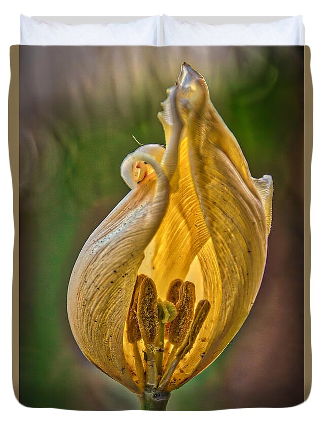 The Inner Sanctum Duvet Cover featuring the photograph The Inner Sanctum by Mitch Shindelbower