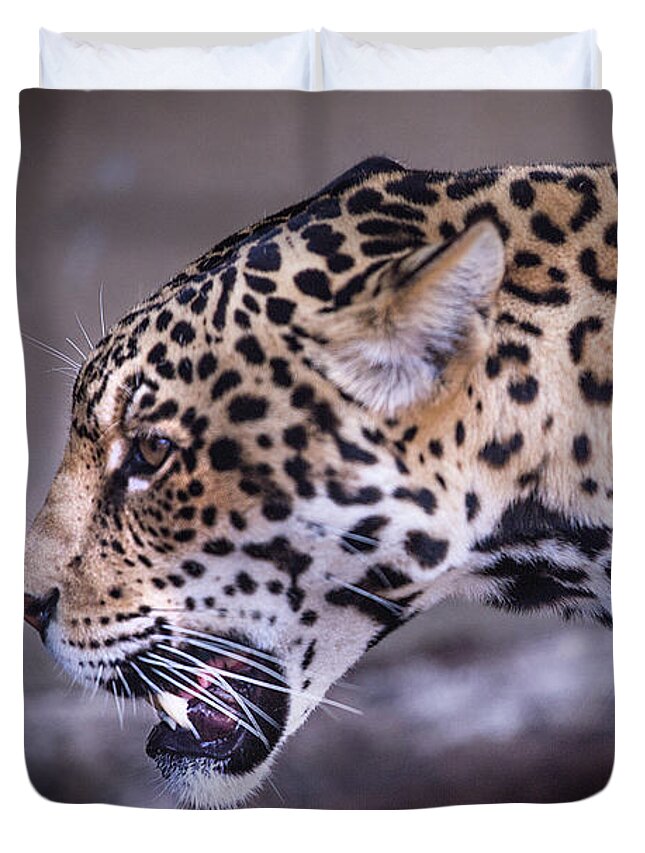 Zoo Duvet Cover featuring the photograph The Jaguar by JoAnn Silva