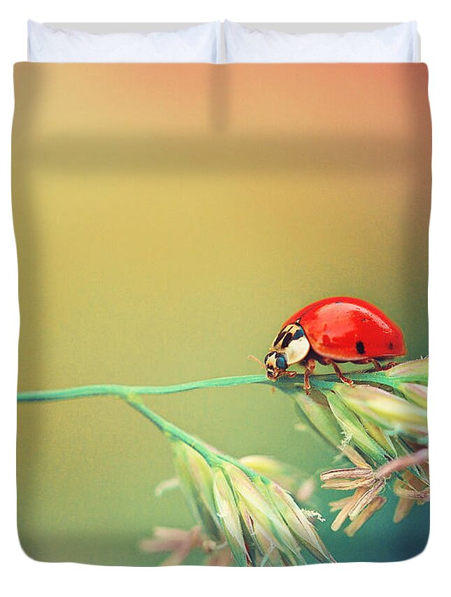 Ladybug Duvet Cover featuring the photograph The Journey Ahead by Kharisma Sommers