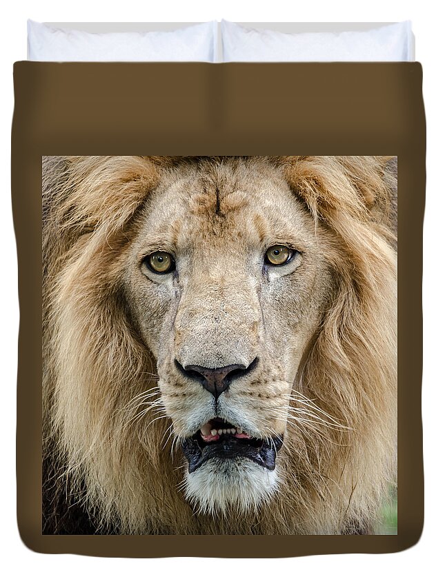 Animal Duvet Cover featuring the photograph The King by Jaime Mercado