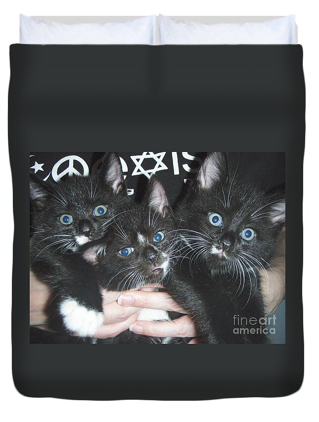 Kittens Duvet Cover featuring the photograph The Kittidiots by Kristine Nora