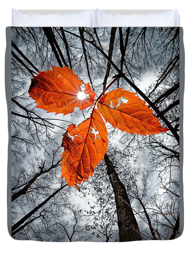 Red Duvet Cover featuring the photograph The last leaf of November by Robert Charity