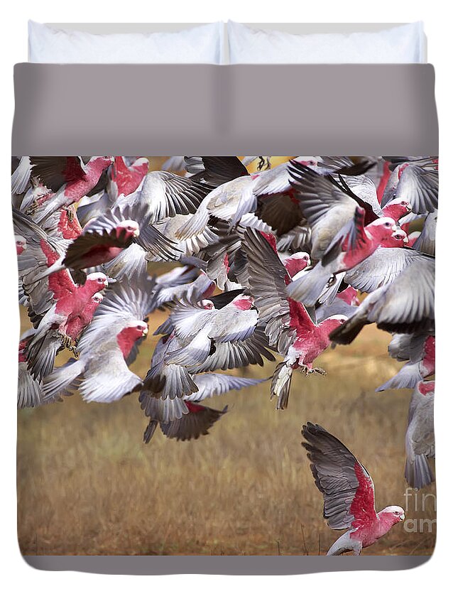 Flock Galahs Taking Off Australian Fauna Birds Wildlife Take Aerial Mass Duvet Cover featuring the photograph The Last One in the Air by Bill Robinson