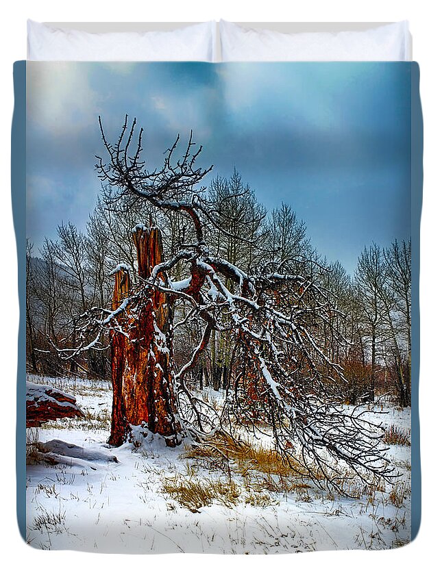 Tree Duvet Cover featuring the photograph The Last Stand by Shane Bechler