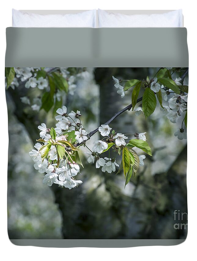 The Life Awakes Duvet Cover featuring the photograph The life awakes 9 by Bruno Santoro