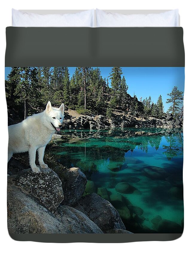 Lake Tahoe Duvet Cover featuring the photograph The Light Of Lake Tahoe by Sean Sarsfield