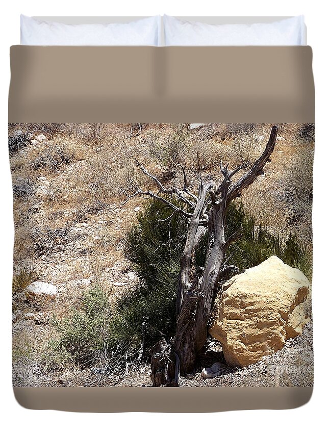 Arizona Desert Landscapes Duvet Cover featuring the photograph The Living and the Dead by Charles Robinson