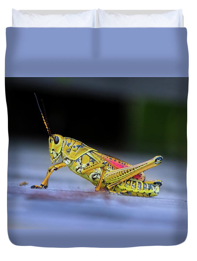 Grasshopper Duvet Cover featuring the photograph The Lubber Grasshopper by Mark Andrew Thomas
