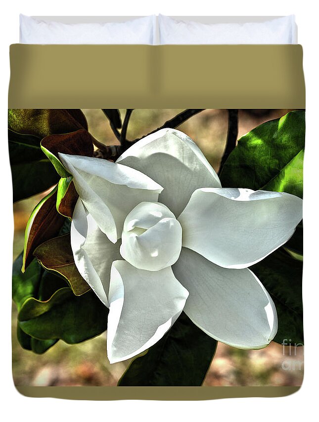 Magnolia Duvet Cover featuring the photograph The Magnolia Purity by Rod Farrell