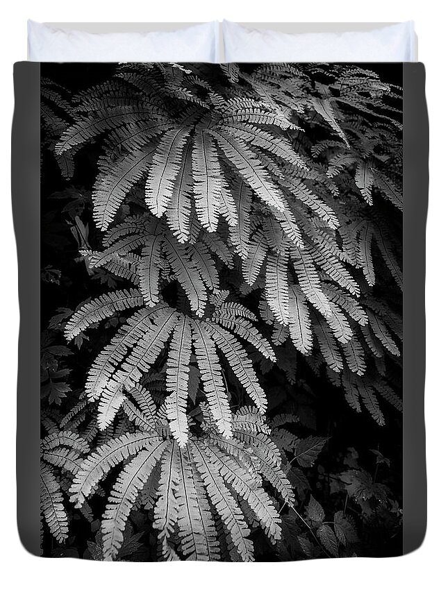 Fern Duvet Cover featuring the photograph The Maiden's Hair by Jon Ares
