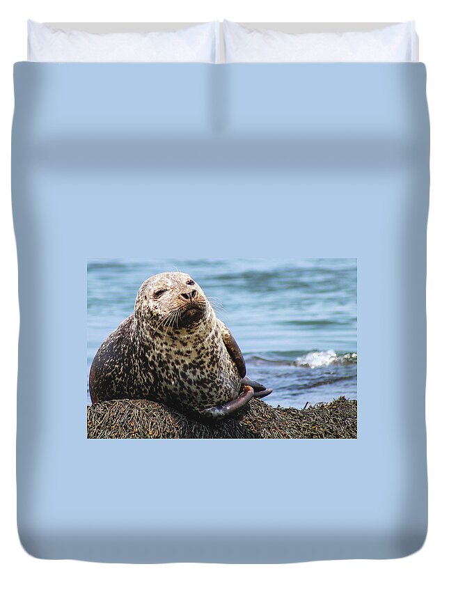 Seal Duvet Cover featuring the photograph The Most Interesting Seal by Holly Ross